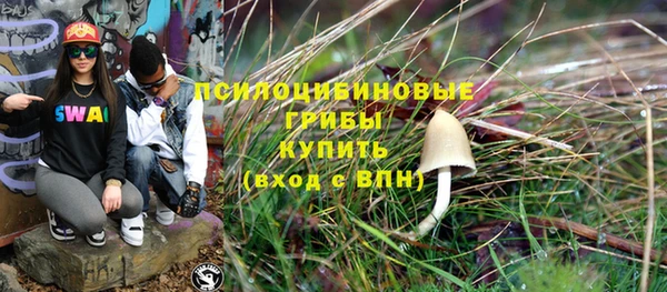 таблы Верхний Тагил