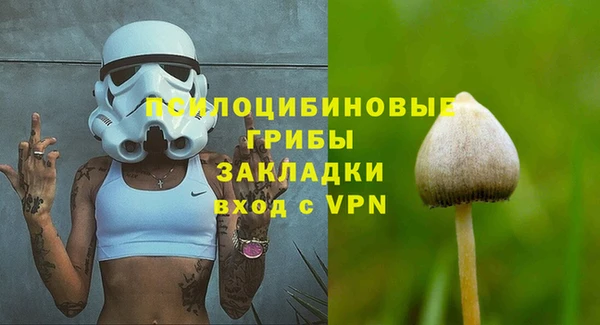 герыч Бородино