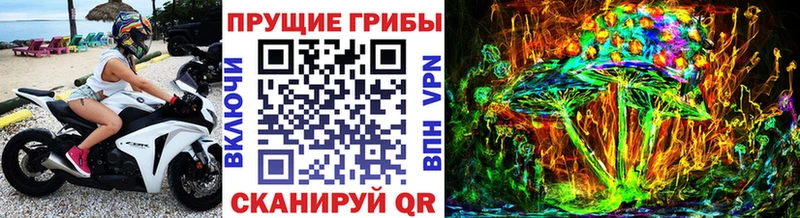 Галлюциногенные грибы Cubensis Купить закладки Нерехта